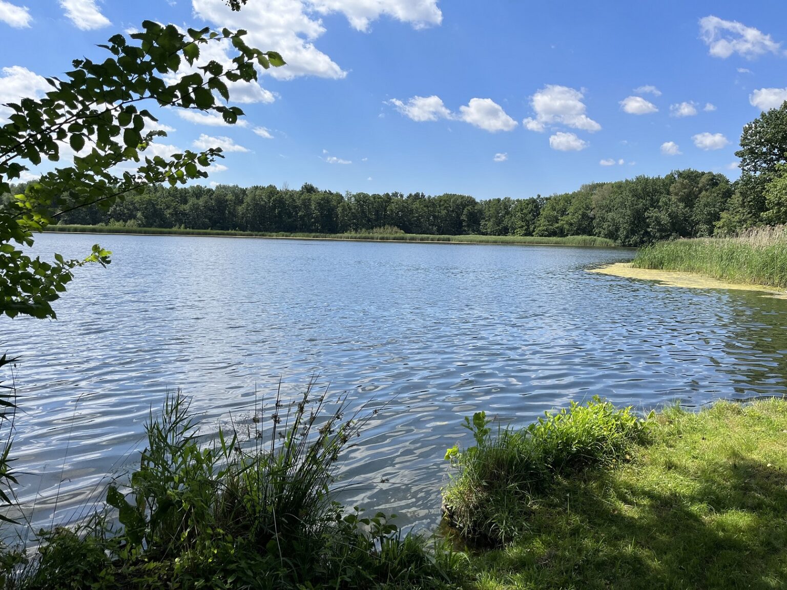 Willkommen in den Ferien, SachsenAnhalt! Südseequartier
